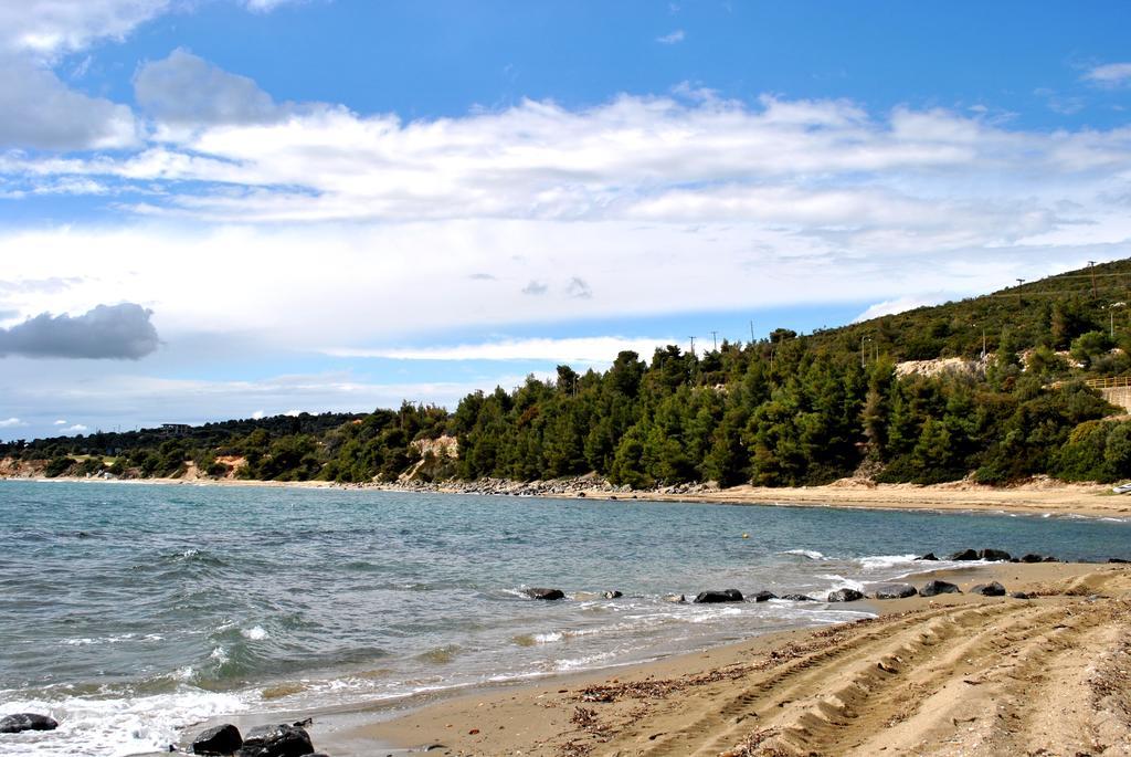 Halkidiki Luxurious Stonehouses 사코우디아 외부 사진